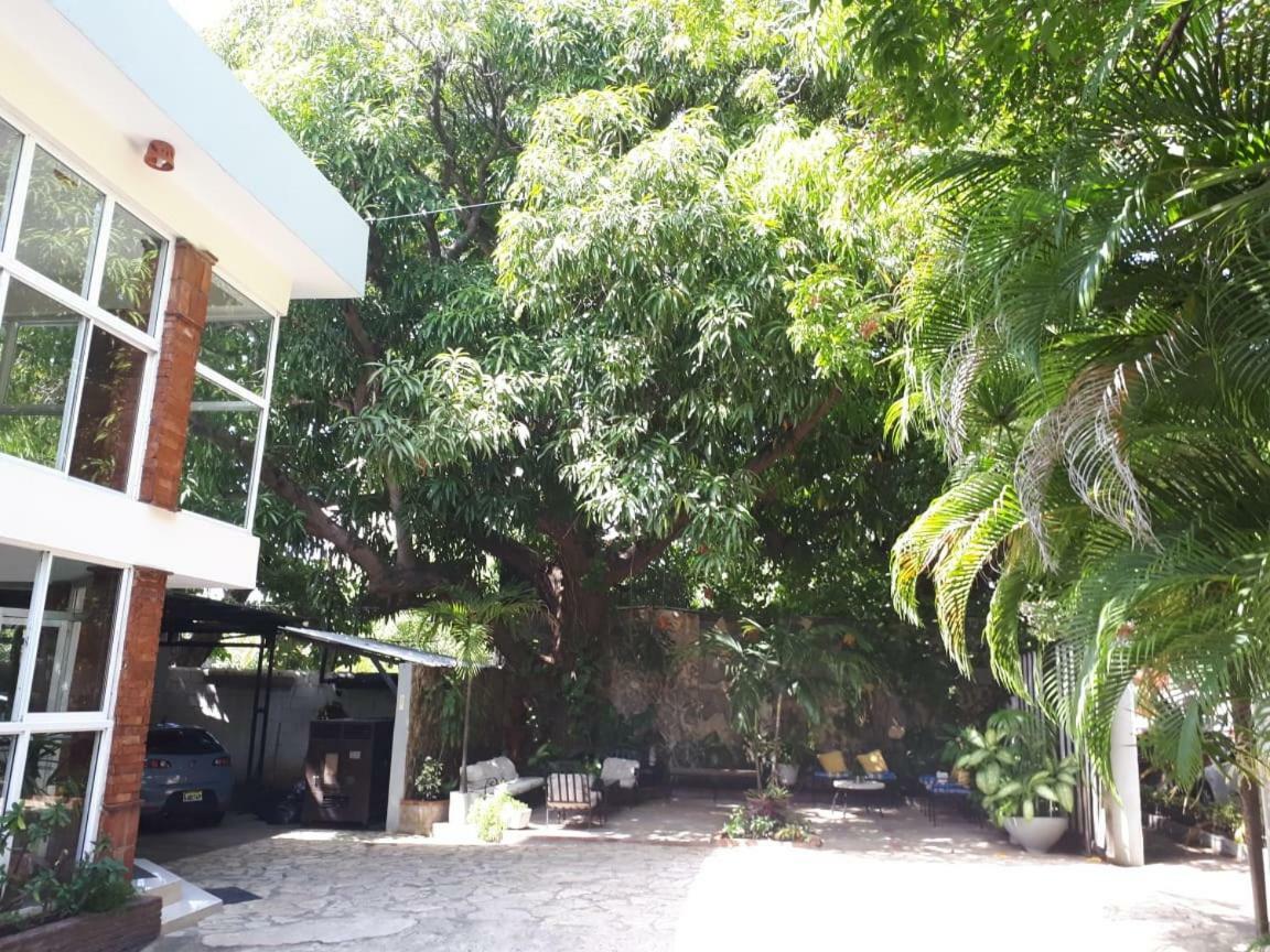 Hotel Alcaldeza - Garden House Maria Guadalupe Santo Domingo Exteriör bild