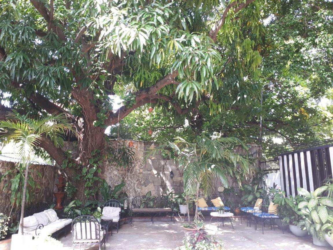Hotel Alcaldeza - Garden House Maria Guadalupe Santo Domingo Exteriör bild